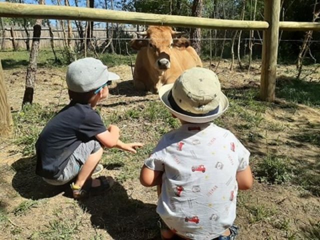 Parc animalier des Gorges de l\'Ardèche