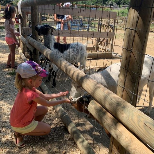 Parc animalier des Gorges de l\'Ardèche