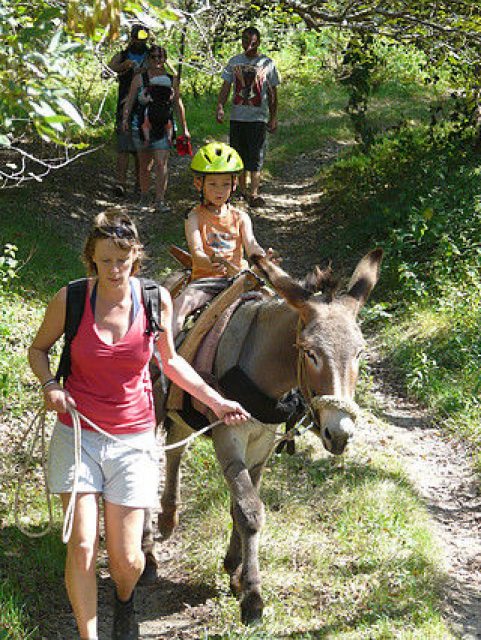Randonnée avec un âne - Carab\'âne