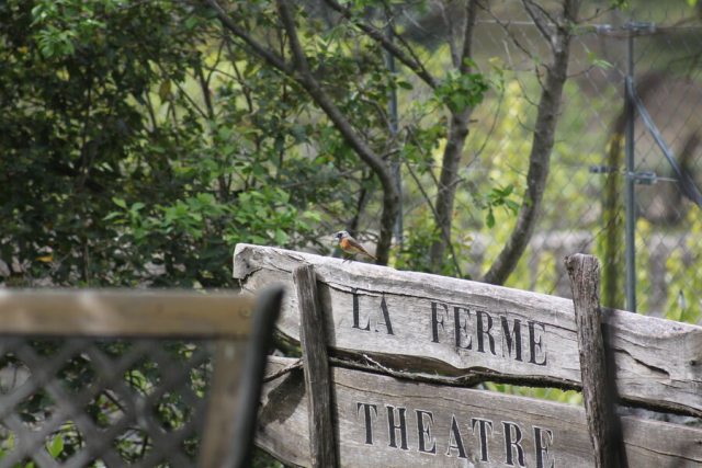 La Ferme Théâtre