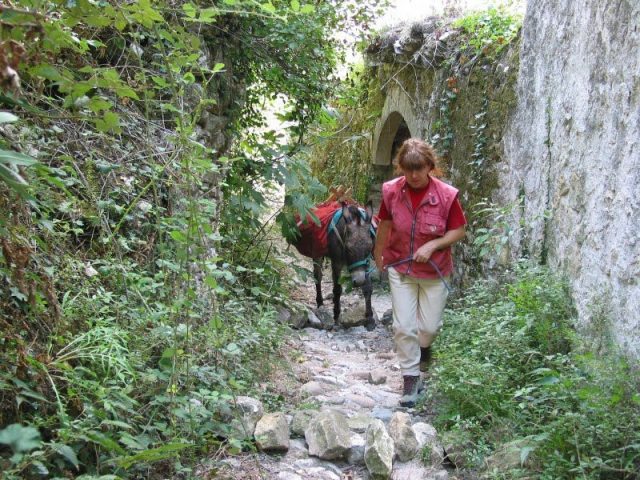 Randonnée avec un âne - Trek\'âne
