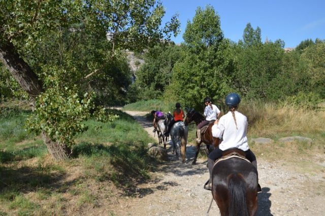 Centre Equestre le Mazet
