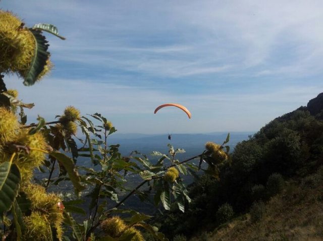 Parapente - Barbule
