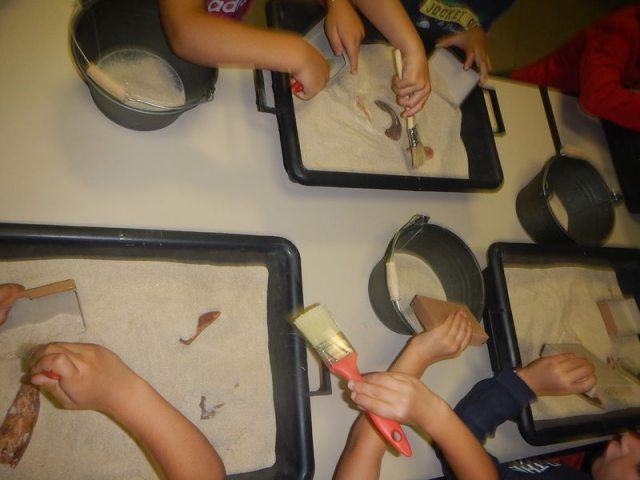Atelier/Visite au Muséum - Dinosaures, fouilles et moulages