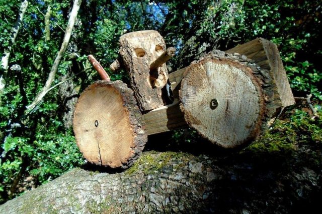 La Forêt d\'Emile Zarbre