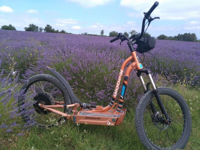 Accompagnement Trottinettes Electriques Tout Terrain